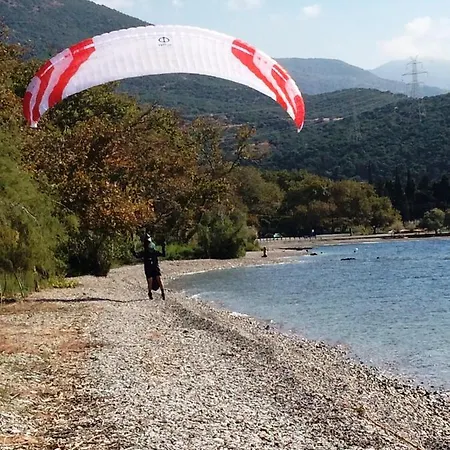 Blumenhaus * Paralia Sergoulas