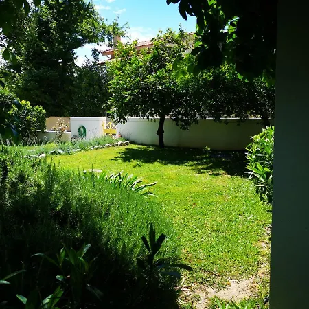 Blumenhaus Paralia Sergoulas