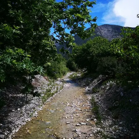 Nyaraló Blumenhaus *